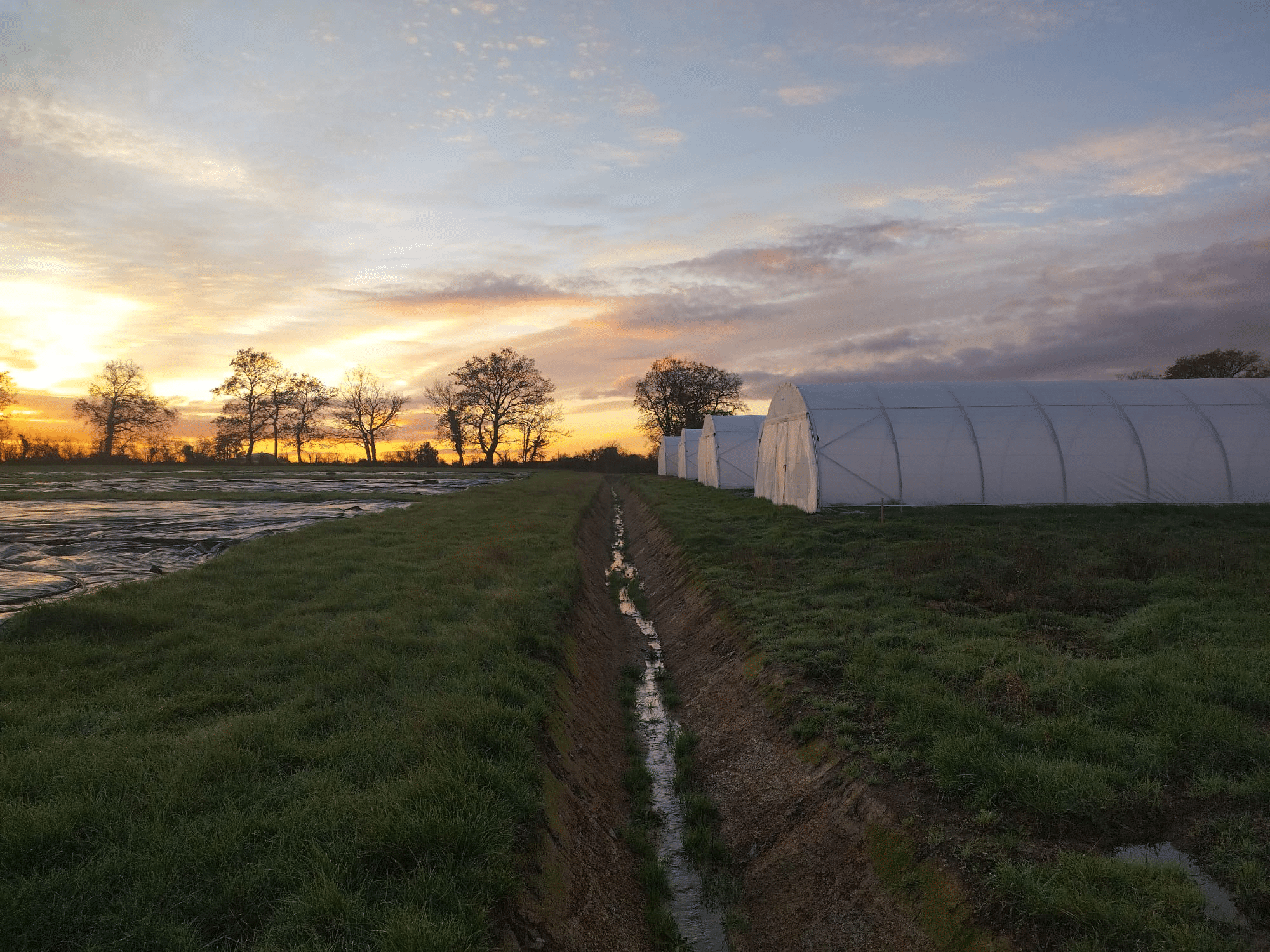 Bannière nos offres à la ferme