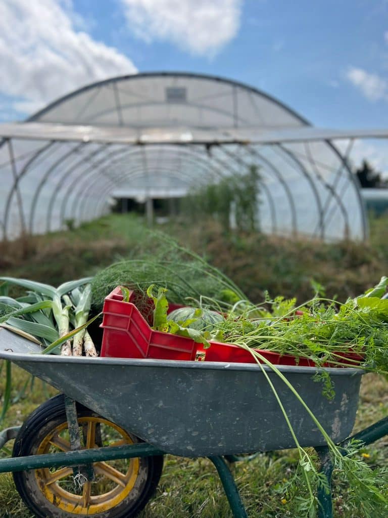 Brouette_champ Brouette dans la serre de Ça vit dans la prairie