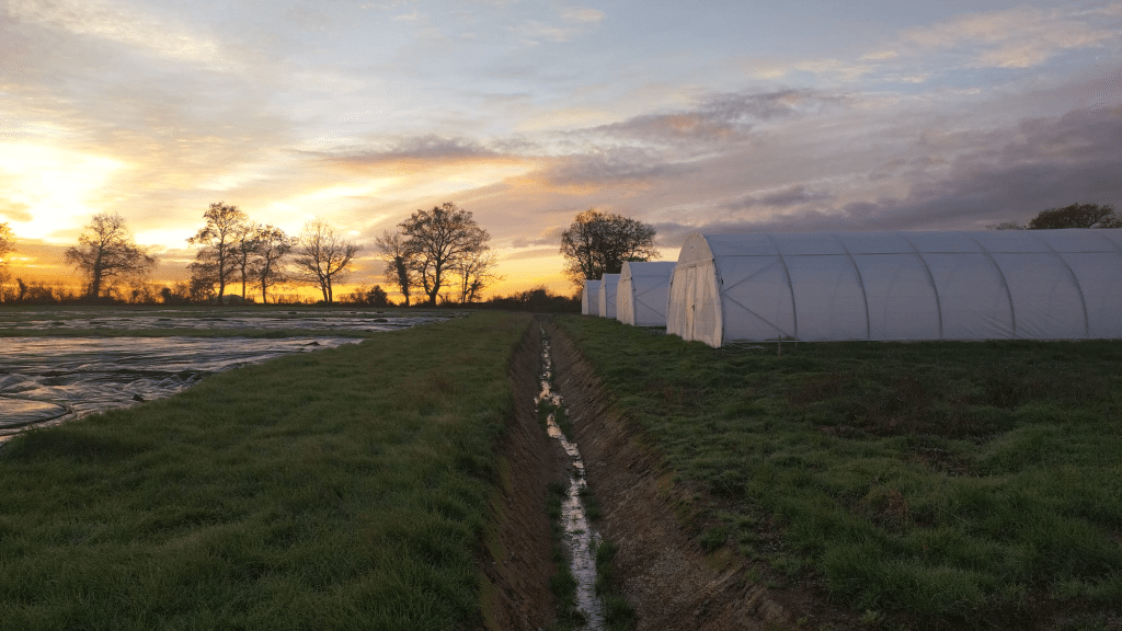 Photo_Montage_Serres Serres d'exploitation