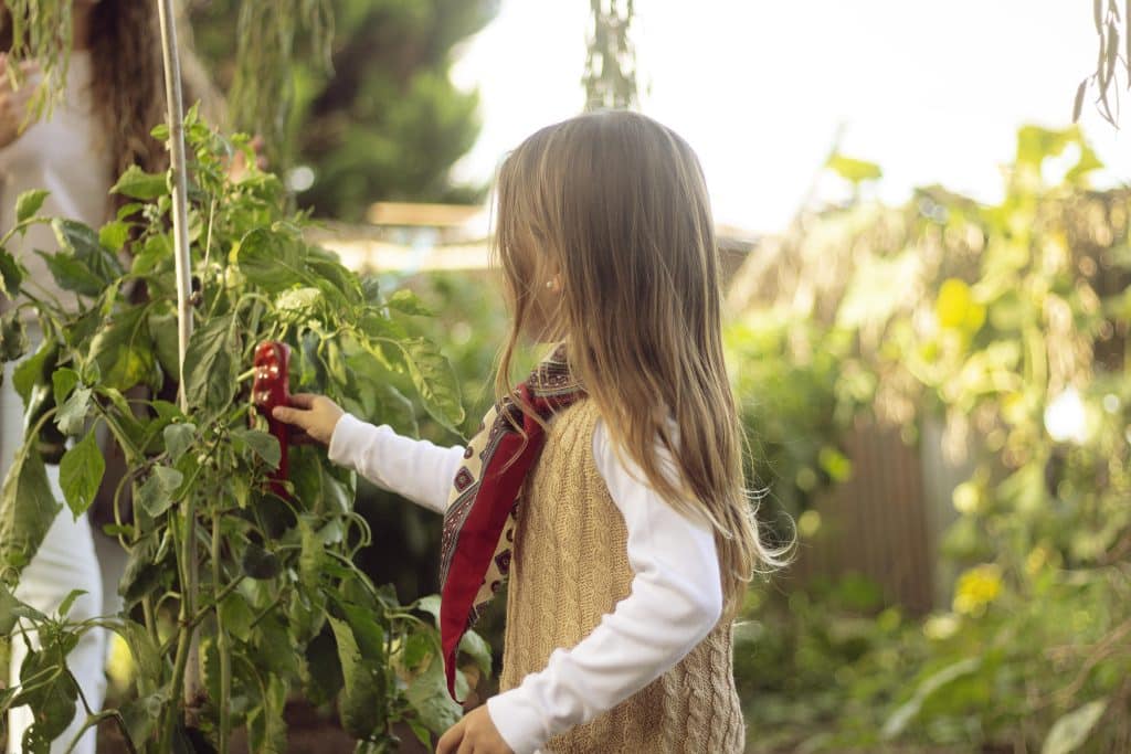 medium-shot-girl-holding-pepper Enfant qui cueille des légumes