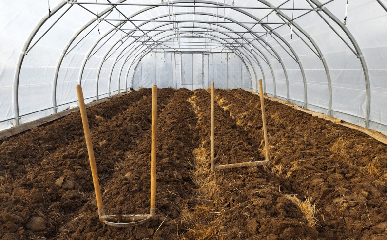 Grelinette pour des légumes de saisons sains