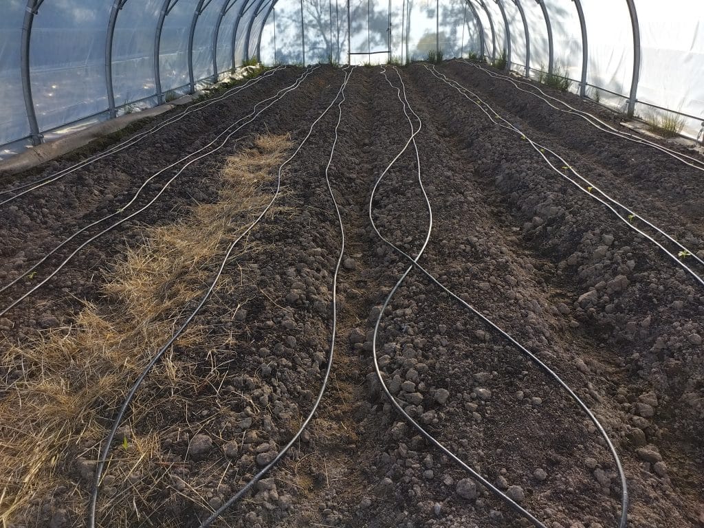 Irrigation en goutte à goutte